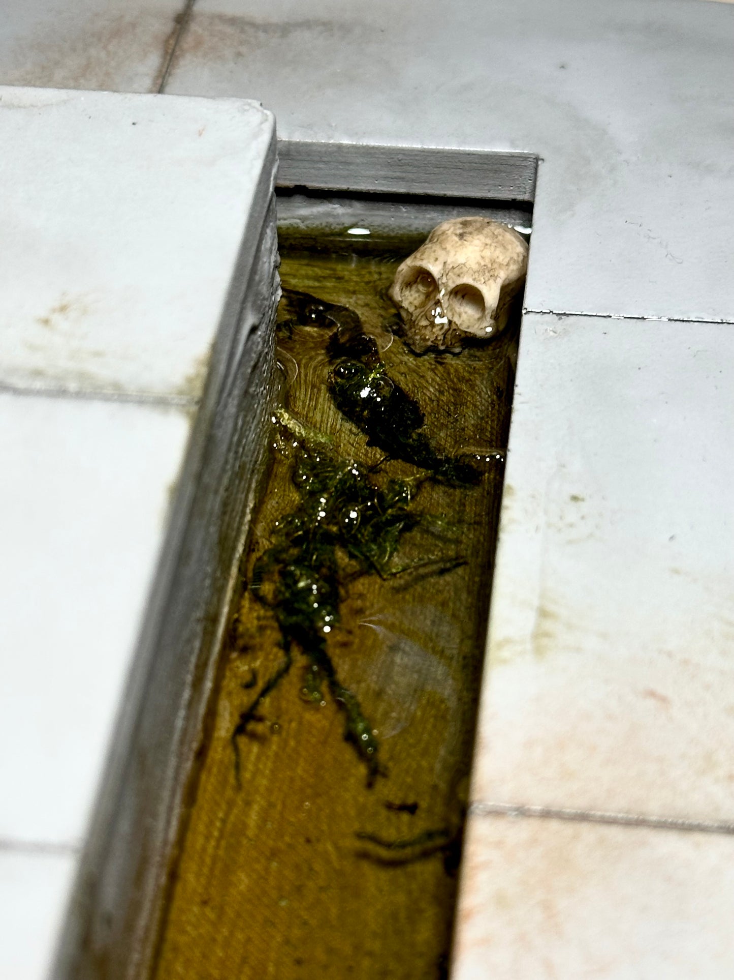 The Dungeon Fountain